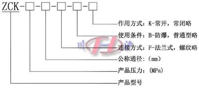 ZCK電磁閥 型號(hào)編制