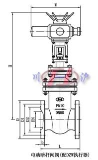 電動(dòng)暗桿閘閥(配DZW執(zhí)行器)
